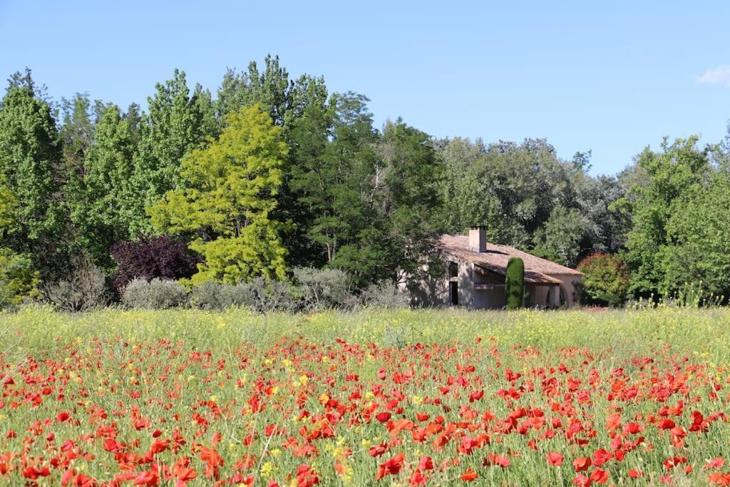 Le Jardin D'Erables St Remy 7 Ha Piscine/Clim Villa Paluds de Noves Exterior foto