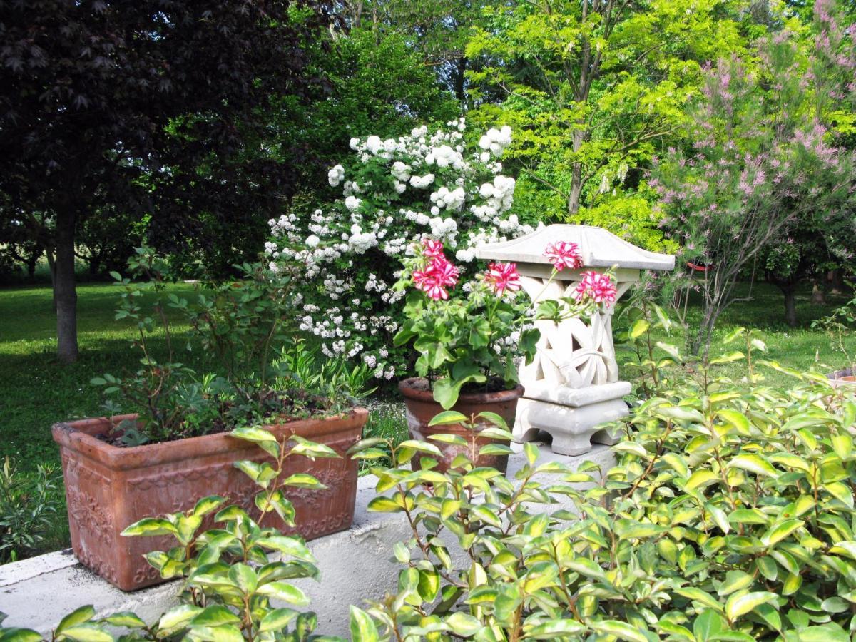 Le Jardin D'Erables St Remy 7 Ha Piscine/Clim Villa Paluds de Noves Exterior foto