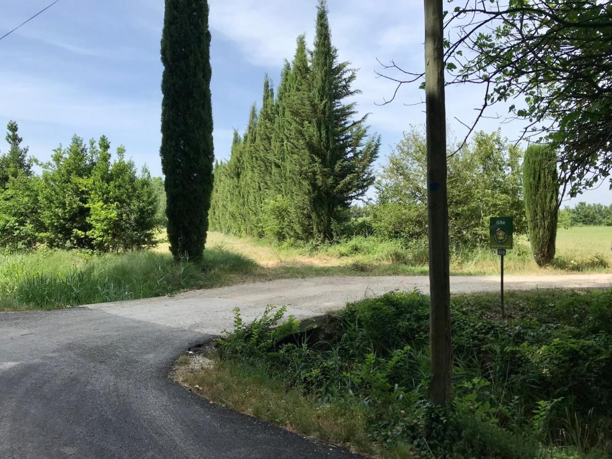 Le Jardin D'Erables St Remy 7 Ha Piscine/Clim Villa Paluds de Noves Exterior foto